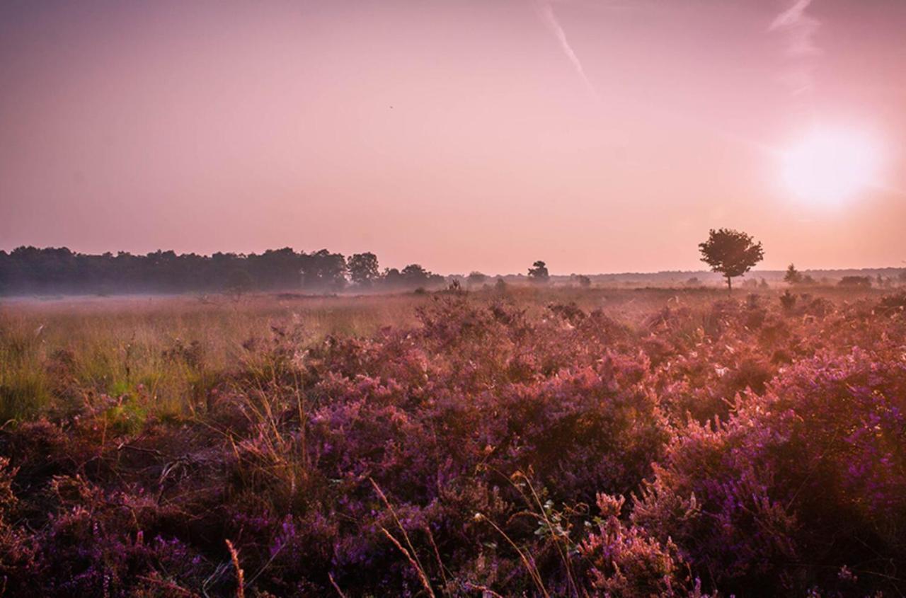 6-Persoons Veluwe Villa Voorthuizen Exteriér fotografie